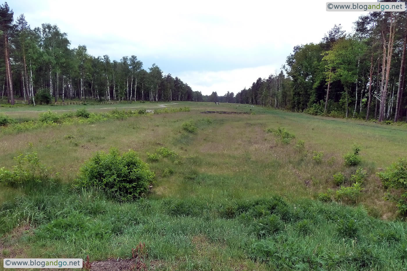 Belsen - Kitchen foundations